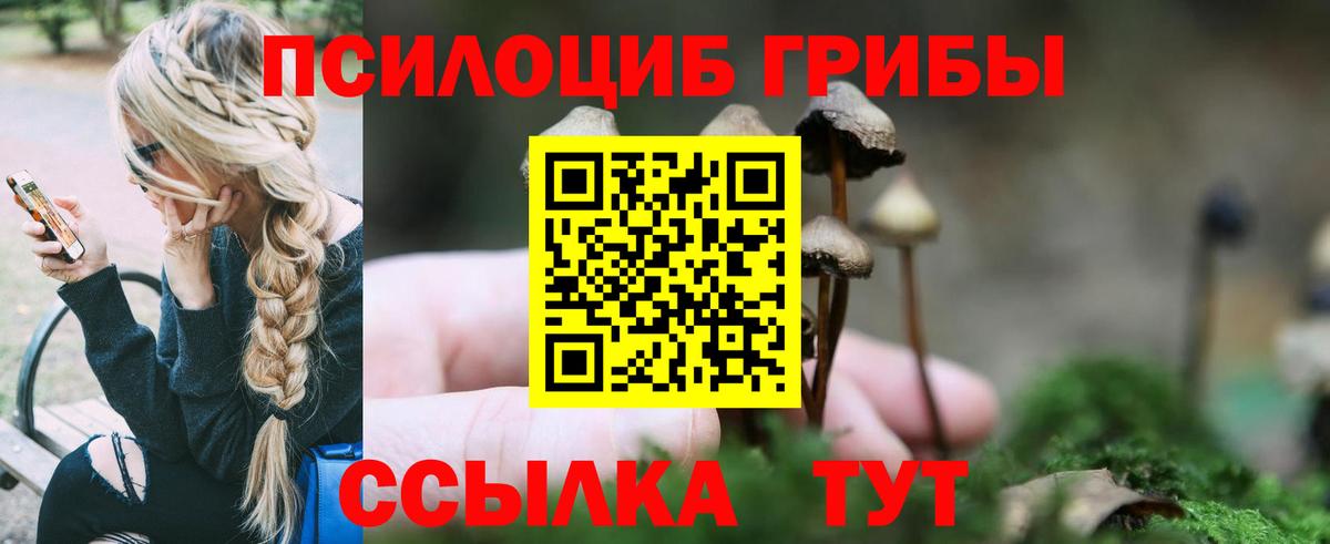 Галлюциногенные грибы Cubensis Торжок